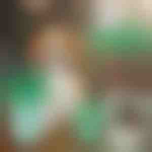 Šunų letenų valymo puodelis | PAWSANI