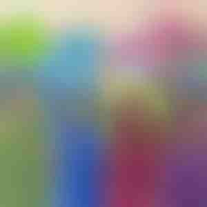 Žaislas, pagalvė ir gobtuvas | PILLOWPET