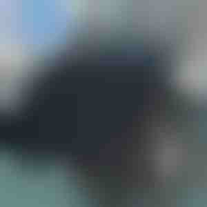 Pasukama sėdynės pagalvėlė | SPINPAD