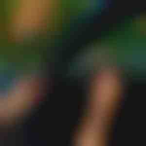 Vėjas, dulkės, lietus ir kelių triukšmas užsandarinti išorėje - bet kuris automobilis | EVOSEAL