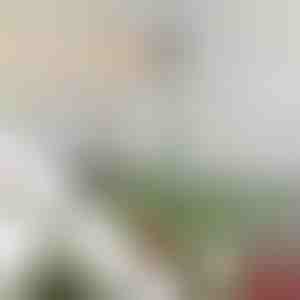 Reguliuojama viršūnės stabilizavimo strypas | STABLESTAR