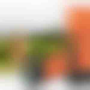 Ultragarsinis augintinių dresūros įrenginys | WOOFSTOP