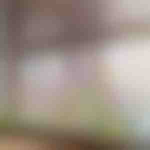 Ryškus gėlių tematikos lango lipdukas | FLORASTIK