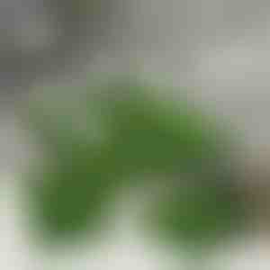 Dekoratyvinės dirbtinės žolės plytelės (5 vnt.) | GRASSTILE